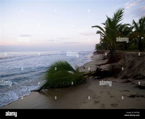 Beaches in arabian sea hi-res stock photography and images - Alamy