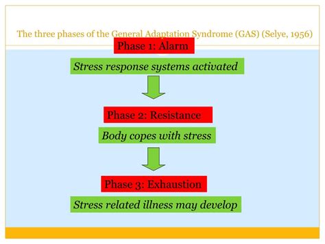 PPT - Stress and GAS- Hans Selye PowerPoint Presentation, free download ...