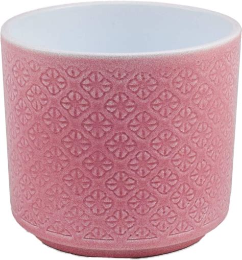 Ivyline Pink Flower Embossed Indoor Planter Plant Pot 12cm FEP12