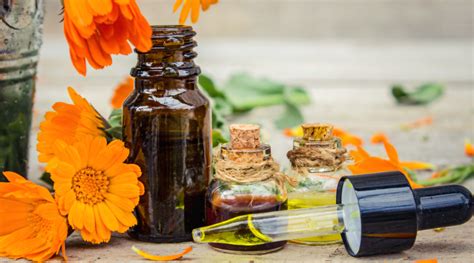 Unlock Radiant Locks With Arnica Hair Oil Hk Vitals