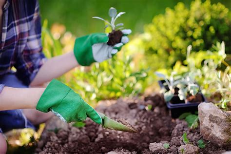 Jardinagem Pode Ser Considerada Uma Arte Ou Um Sistema Agr Cola