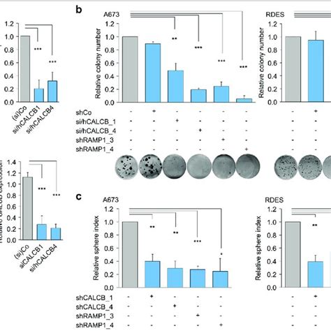 Knockdown Of Calcb Or Ramp1 Inhibits Proliferation Of Ewing Sarcoma