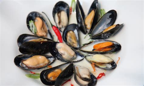 Mussels With Coconut Broth The Social Shell