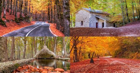 Dove Vedere Il Foliage In Abruzzo Ecco Luoghi Che Ti Consigliamo