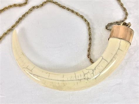 Wild Boars Tusk 14k Gold Mounted Necklace 1950s At 1stdibs Wild Boar