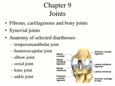 Ppt Chapter 9 Joints Powerpoint Presentation Free Download Id517446