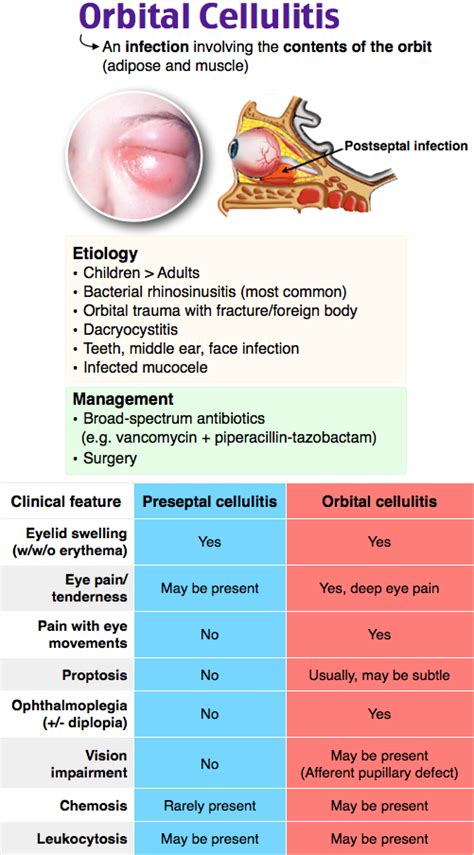 Orbital Cellulitis Emergency Medicine Medical Knowledge Emergency Medicine Doctors