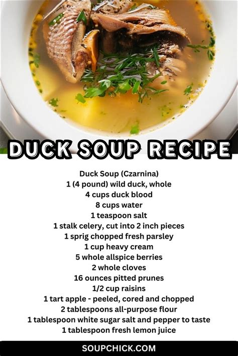 20 Minutes Duck Soup Recipe A Culinary Masterpiece Recipe Easy