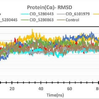 Root Mean Square Deviation Rmsd Of Protein Red Cid