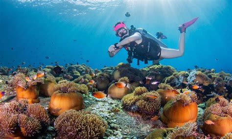 The Best Places To Dive In Bali Let S Dive Tulamben