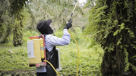 GESTIÓN DEL RIESGO QUÍMICO EN EL SECTOR AGRÍCOLA ITCILO