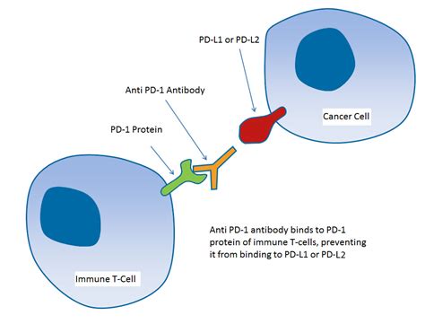 Pd 1 Expanding Beyond Cancer Research With Prosci Nordic Biosite