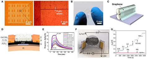 Frontiers Graphene Based Sensors For Human Health Monitoring