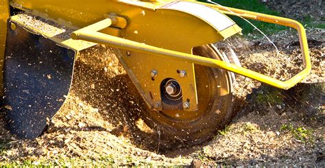 Tree Stump Removal | Stump Grinder Teeth | Stump Grinding Teeth