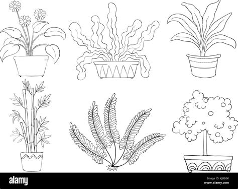 Illustration Of The Silhouettes Of Different Shrubs On A White