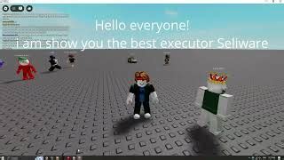 Best Roblox Executor Seliware Keyless Exploit 97 Sunc 100 Unc Op Roblox ...