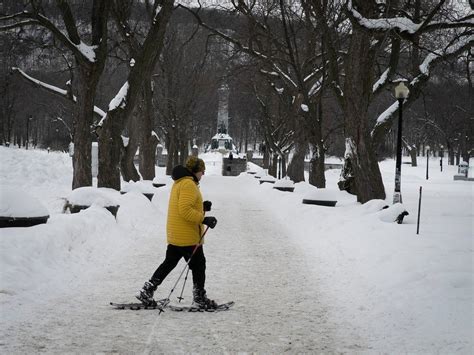 Montreal weather: The overnight storm that wasn't leaves around 5 cm of ...