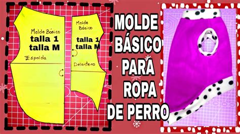 Molde Basico Para Perro Y Gato Paso A Paso Talla Youtube