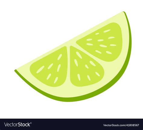 Lime slice isolated on white Royalty Free Vector Image