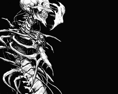 Skeleton Desktop Wallpapers Top Free Skeleton Desktop Backgrounds