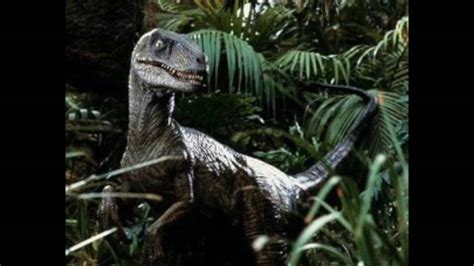 Velociraptor Sounds - SEO POSITIVO