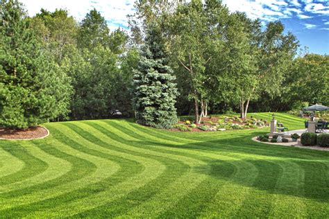 bella vista lawn care carpentry masonry