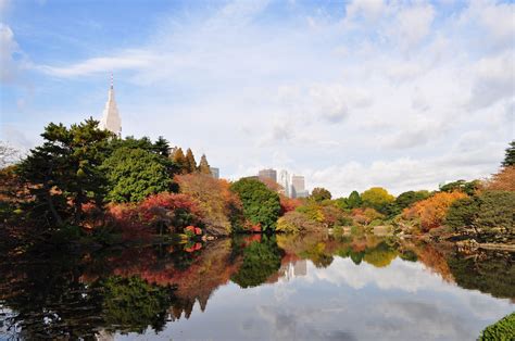 新宿御苑の紅葉東京都 ｜紅葉名所2024