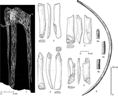 Siberian Mammoth Graveyard Reveals 800 Years Of Human-Mammoth History