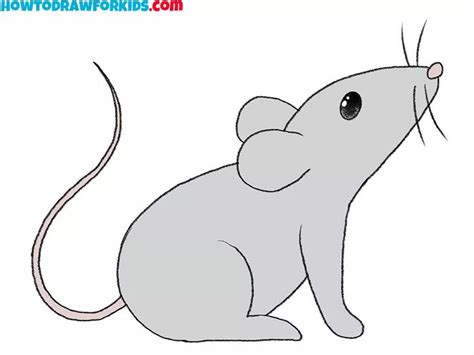 How To Draw A Mouse Step By Step Drawing Tutorial For Kids Mouse