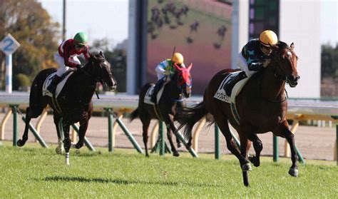 ＜東京競馬5r新馬戦＞レースを制したジャングルキング（右端）＝撮影・郡司 修 ― スポニチ Sponichi Annex ギャンブル