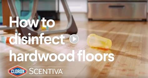 How To Disinfect Hardwood Floors Clorox Scentiva Mopping Cleaning