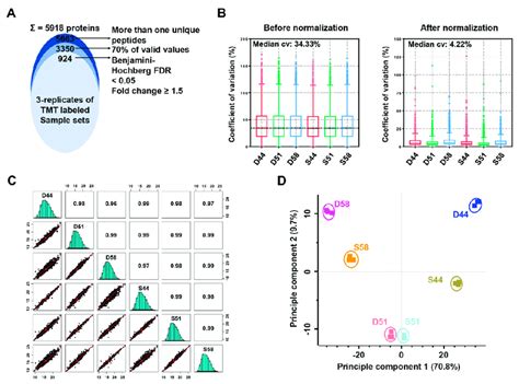 Proteomic Analysis Of Filling Stage Seed Samples By TMT Based