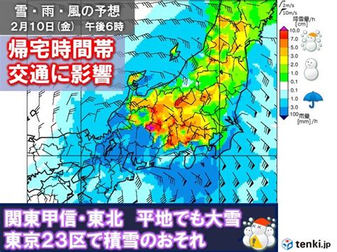 あす10～11日関東・東北で大雪警戒 東京23区も積雪 午後は交通の乱れに注意気象予報士 石榑 亜紀子 2023年02月09日 日本