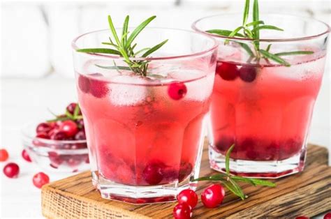 20 Best Vodka Christmas Cocktails And Drinks Insanely Good