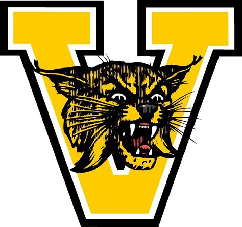 The Valdosta Wildcats Scorestream