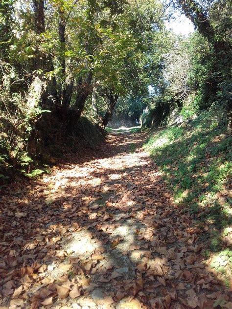 Caminos Y Senderos Españoles RanÓn El CamÍn De La Iglesia Vieja