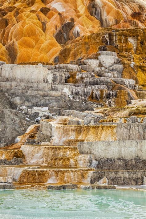 Ubra Park Narodowy Yellowstone Zdj Cie Stock Obraz Z O Onej Z