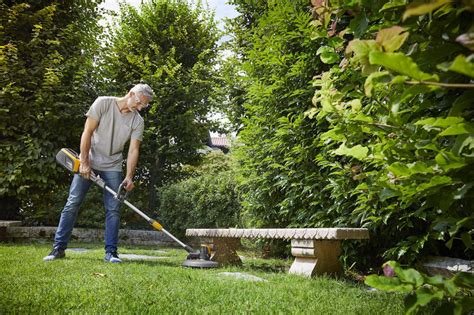 Comment Fonctionne Un Coupe Bordure