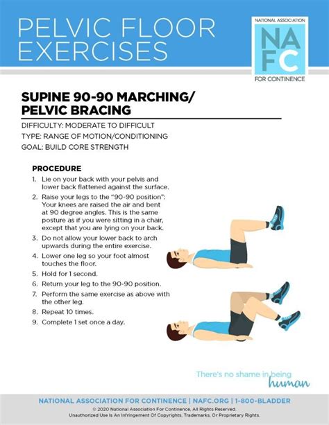 Downloadable Exercises For Your Pelvic Floor Artofit