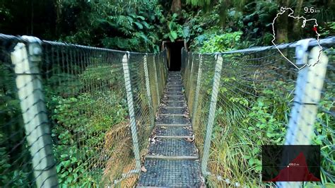 Te Aroha Summit Via Waiorongomai Valley Butlers Incline Youtube