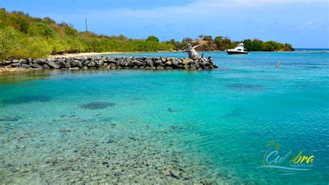 Culebra Puerto Rico Travel Airport Ferry And Top Rated Tours Which