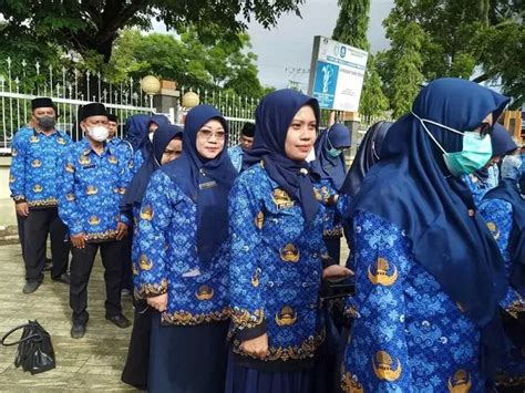 Wow 3 620 Pelamar Lolos Seleksi Jabatan Fungsional Teknis Calon PPPK