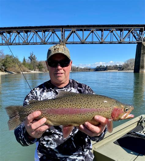 Sacramento River Lower Fish Report Sacramento River Lower