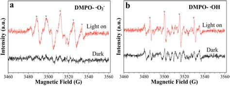 Dmpo Spin Trapping Epr Spectra For A Dmpo O Over Ppy Ag Rgo In