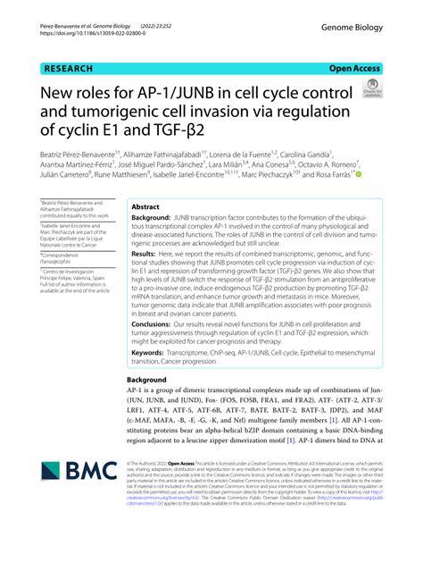 Pdf New Roles For Ap 1junb In Cell Cycle Control And Tumorigenic Cell Invasion Via Regulation