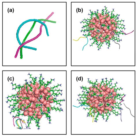 IJMS Free Full Text Molecular Dynamics Simulations Of A Catalytic