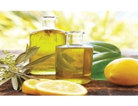 Citrus Aurantium Bergamot Oil Rs 2000 Kilogram Bo International Id