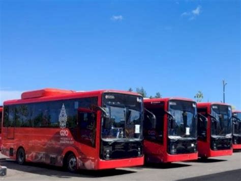 Dukung Kesuksesan G20 Bali DAMRI Siap Operasikan 24 Unit Bus Listrik