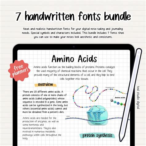 Realistic Handwritten Font Bundle Digital Note Taking Font Neat