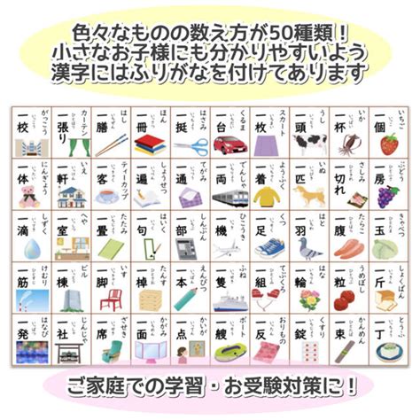 【a4 ものの数え方表】物の数え方 助数詞 小学校受験対策 幼児教育の通販 By 小学校受験・知育教材・療育関連｜ラクマ